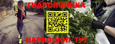 гидропоника Нальчик