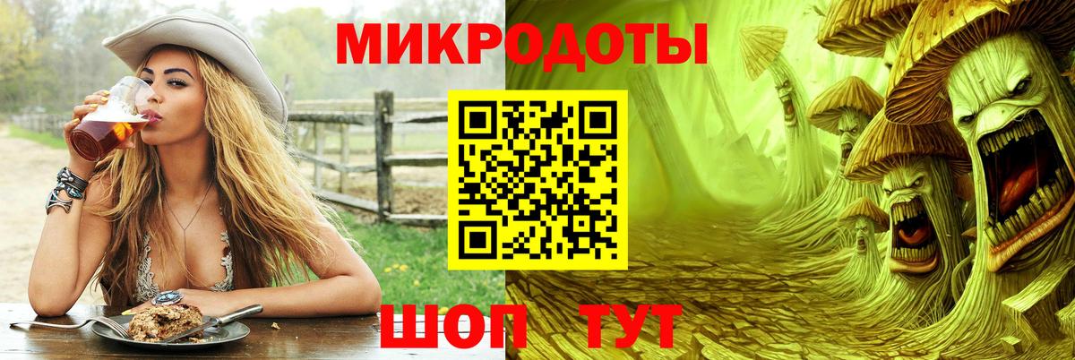 что такое   Псилоцибиновые грибы Cubensis  Вход с VPN  Псилоцибиновые грибы ЛСД  Волгоград 
